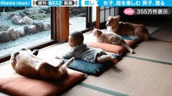 女子は庭を楽しみ男子はごろん…犬と猫と赤ちゃんの仲良しグループが見せたそれぞれの過ごし方が悶絶級のかわいさ「幸せが詰まってる」