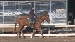 青森、沖縄で…観光業界「馬旅」アピール　競馬場で遊び放題　乗馬体験プログラムも