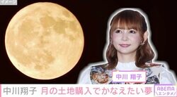 中川翔子、月の土地を購入 サッカー場1個分の価格に驚き「やっす」