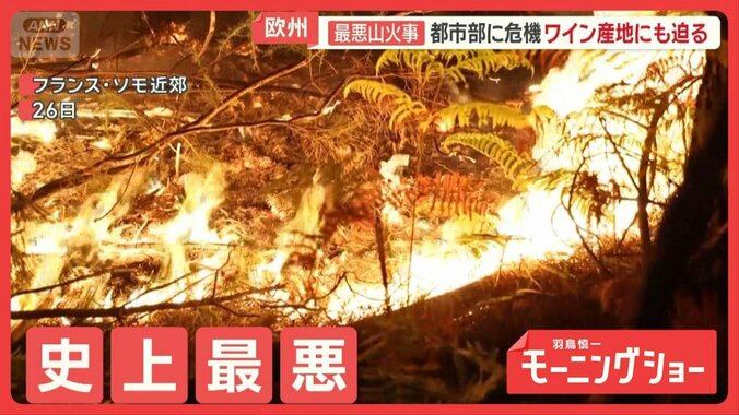 欧州で史上最悪の山火事　中国にハイペース台風　世界で被害続出　異常気象なぜ？ 1枚目