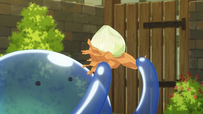 [Photos/Images] Mukōda Discovers New Cooking Tools! 