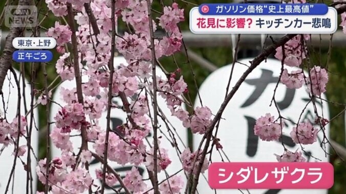 東京・上野公園