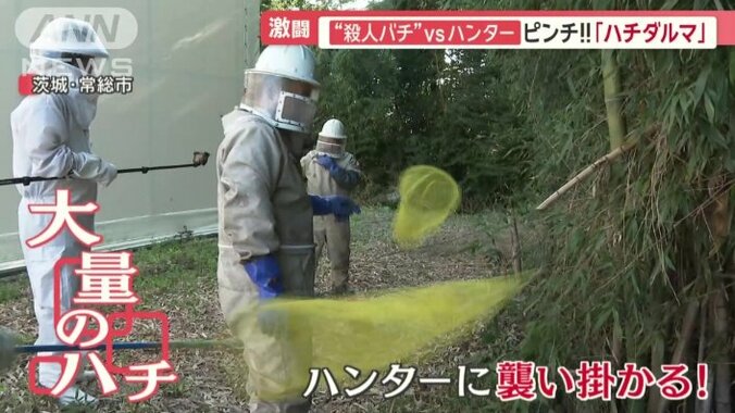 大量のハチがハンターに襲い掛かる！