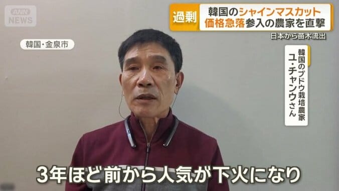 韓国のブドウ栽培農家　ユ・チャンウさん