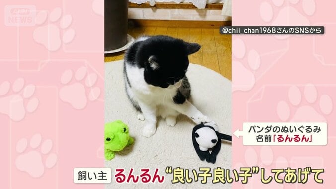 飼い主「るんるん、良い子良い子してあげて」