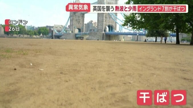 緑の芝生が青々と生い茂っていたが…