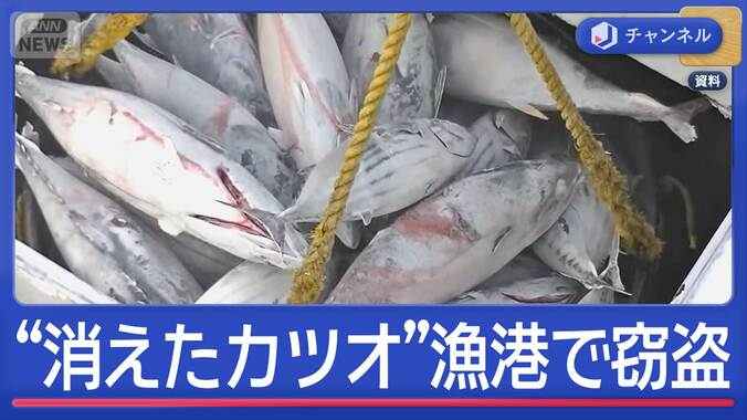 “消えたカツオ”漁港で大規模窃盗　水産会社元常務に懲役3年求刑 1枚目