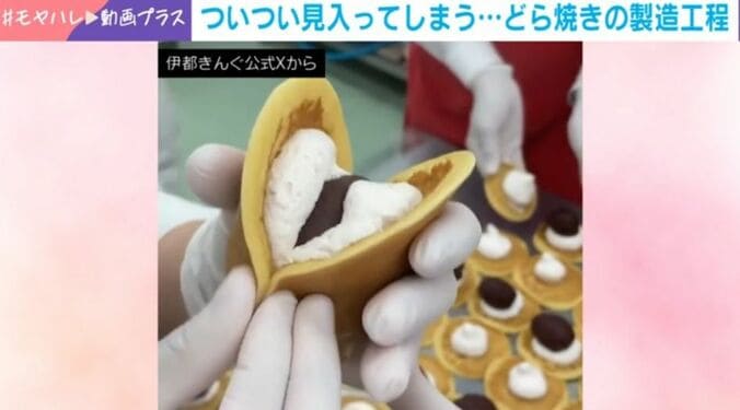 「どらきんぐ生」