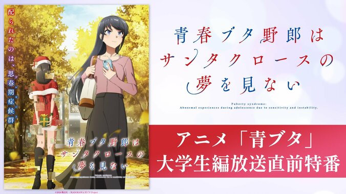 【写真・画像】　1枚目