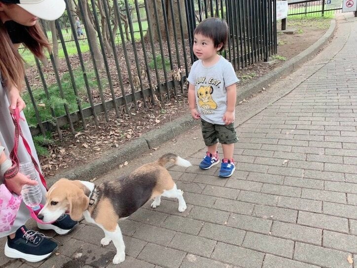 川崎希＆アレク、犬を1時間レンタルし散歩「飼うならもう少し勉強が必要だな～」