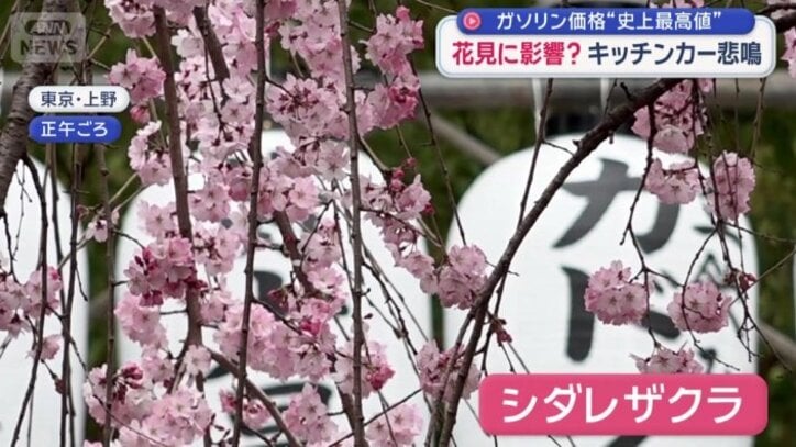 東京・上野公園