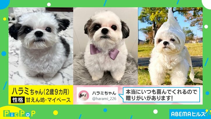 【写真・画像】 2枚目