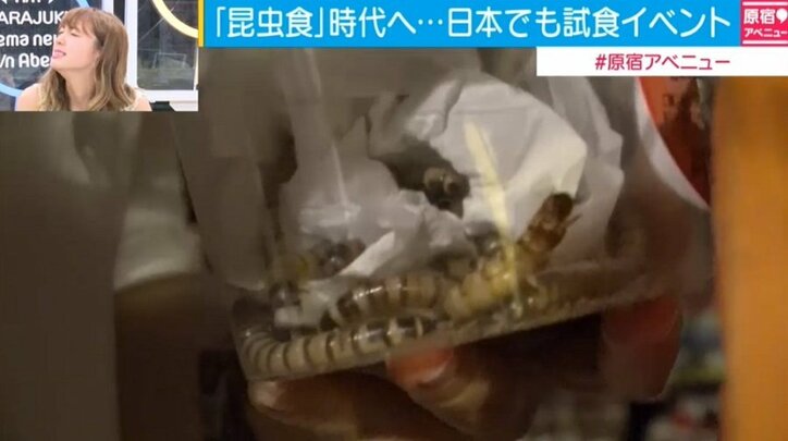 大川藍 スズメバチのロールキャベツを食べ「あ、脚あった…」