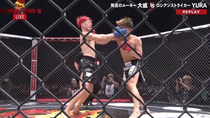 【画像】プロ格闘家、BD戦士に衝撃のKO負け（複数）