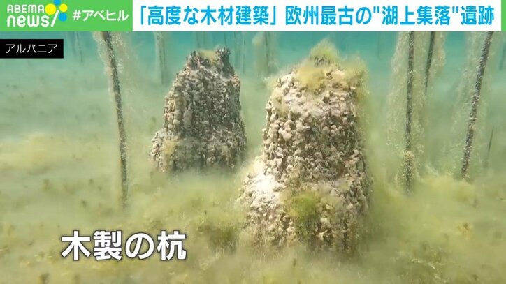 木製の杭