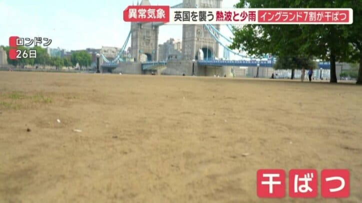 緑の芝生が青々と生い茂っていたが…