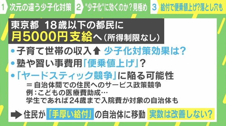 “次元の異なる少子化対策”は本当に少子化対策になるのか 中室牧子氏「産む人のインセンティブになるかが重要」