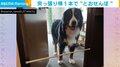 大型犬が1本の“突っ張り棒”に困惑 超えられない“低い壁”に悲しげな表情