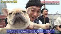 7.2 新しい別の窓 - #3 (6月) - ◇ #3 本編:チャプター4 YouTuber草彅の写真スポット探しin三茶 | 動画視聴は【Abemaビデオ(AbemaTV)】
