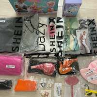 平野ノラ『SHEINで爆買い』