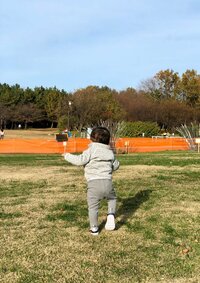 本田朋子『紅葉』