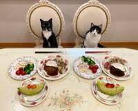 藤あや子『昨日の晩ごはん』