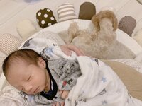 辻希美、第4子を見守る愛犬の姿にほっこり「幸空を常に気にかけてくれて…」