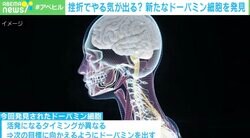 「失敗してもドーパミンは出る」京大が発見 創薬にも期待