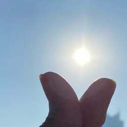  かとうかず子、病院で医師から聞いた恐ろしい話「痛みが出にくいから発見が遅れる」 