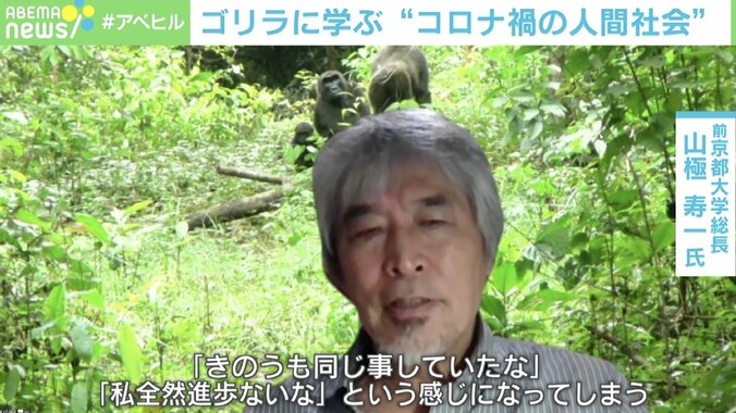 ゴリラに学ぶ“自粛がつらい理由” 霊長類研究者・山極寿一京大前総長が提言するコロナ禍の過ごし方「スマホを捨てればいい」 3枚目