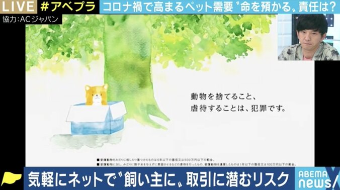 ペットたちの暮らしにもコロナ禍が大きな影を落とす…環境省の業者規制案に課題も 3枚目