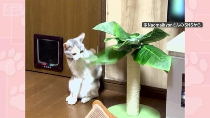 葉っぱちょんちょん