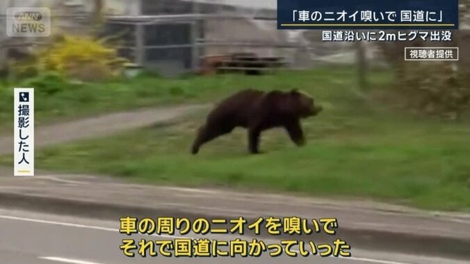撮影した人