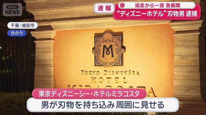 ホテルミラコスタ