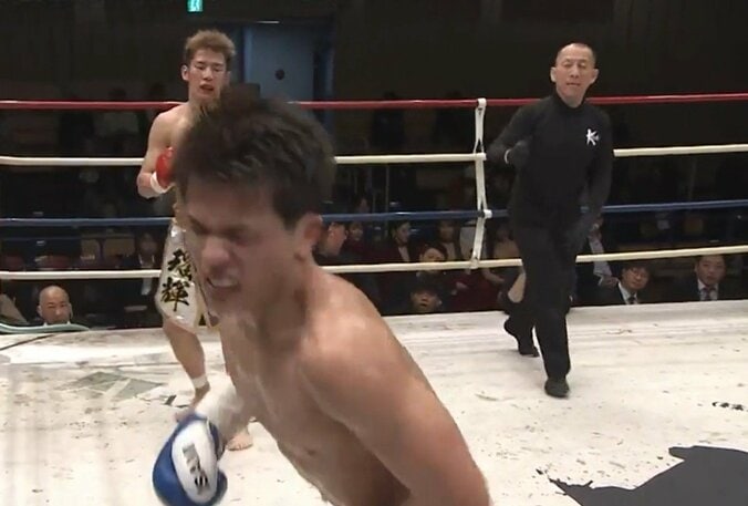 【写真・画像】　1枚目