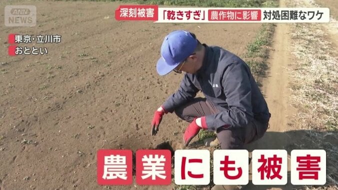 都内の農園からは悲鳴