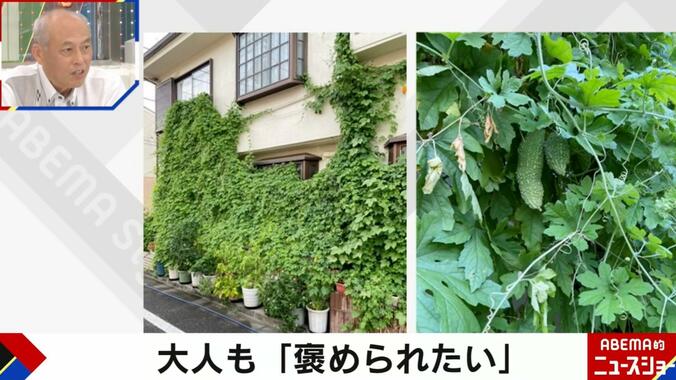 舛添氏の自宅の家庭菜園