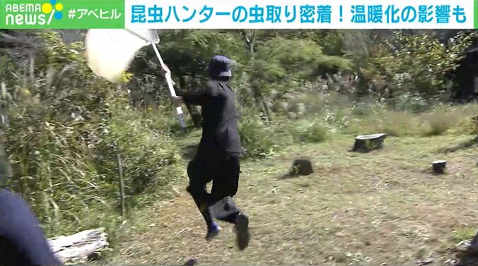 東大院生の昆虫ハンター「家族はむしろ虫嫌い」 子どもの“夢中になる力”を伸ばすには 2枚目