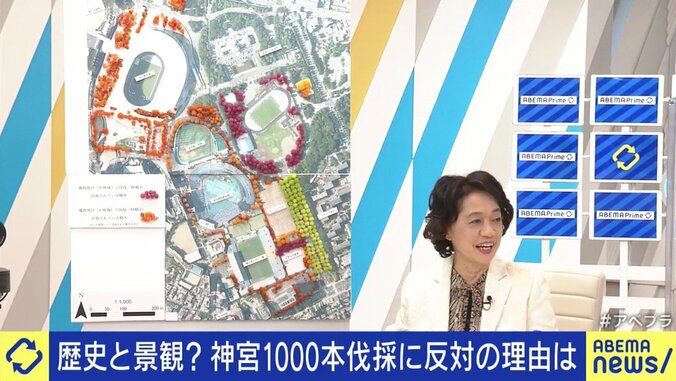 「日本の近代を象徴する空間を理解していない、法律も守らない都市づくりだ」神宮外苑の再開発計画を批判 1枚目