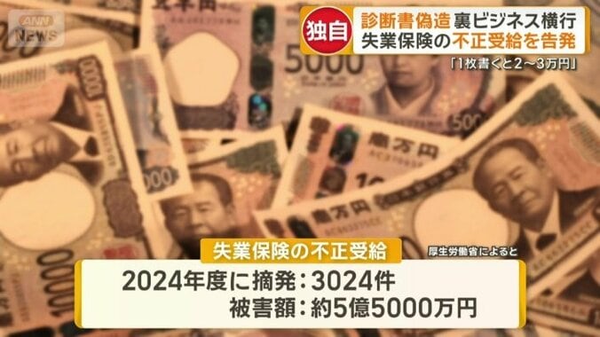 2024年度に摘発：3024件　被害額：5億5000万円