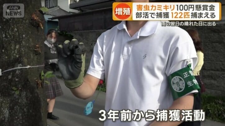 3年前から部活動として捕獲活動