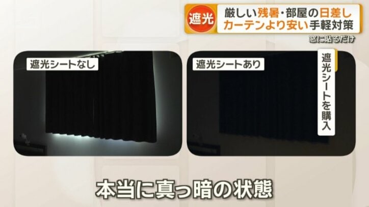 「光が全く入ってこない」