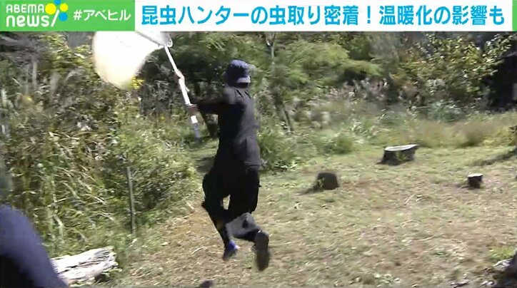 東大院生の昆虫ハンター「家族はむしろ虫嫌い」 子どもの“夢中になる力”を伸ばすには