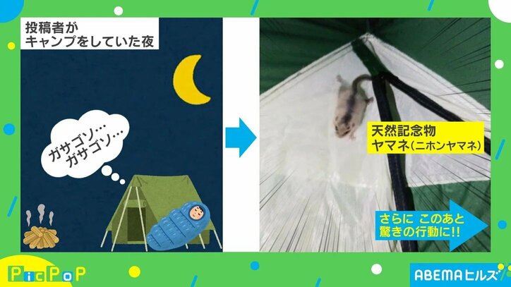 癒されまくり！今年話題を集めた小動物の可愛い＆爆笑投稿5選
