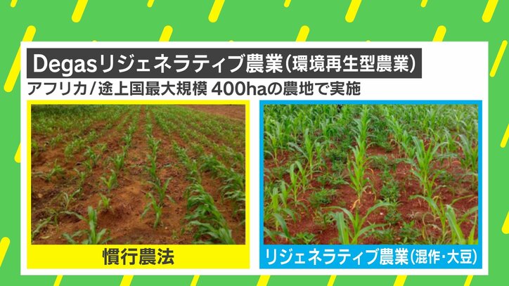 「日本の排出権取引量は3桁足りない」「“追加性”も非常に低い」TED「世界の12人の若者」に選ばれた牧浦土雅氏が東証「カーボン・クレジット市場」に問う「本質」