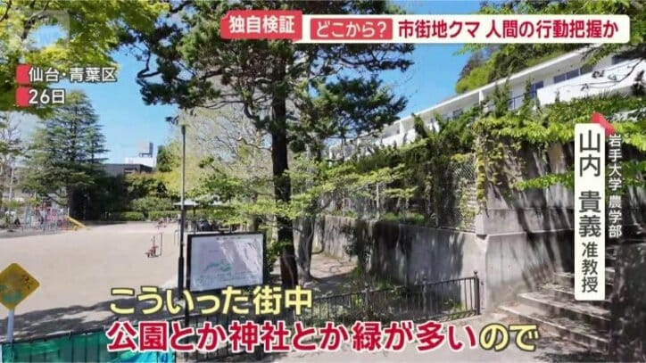 クマの足取りを追うと…