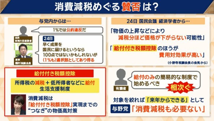 消費減税そのものに慎重な声も…