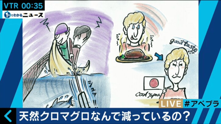 クロマグロが世界的に減少 長崎の漁師が「自主禁漁」
