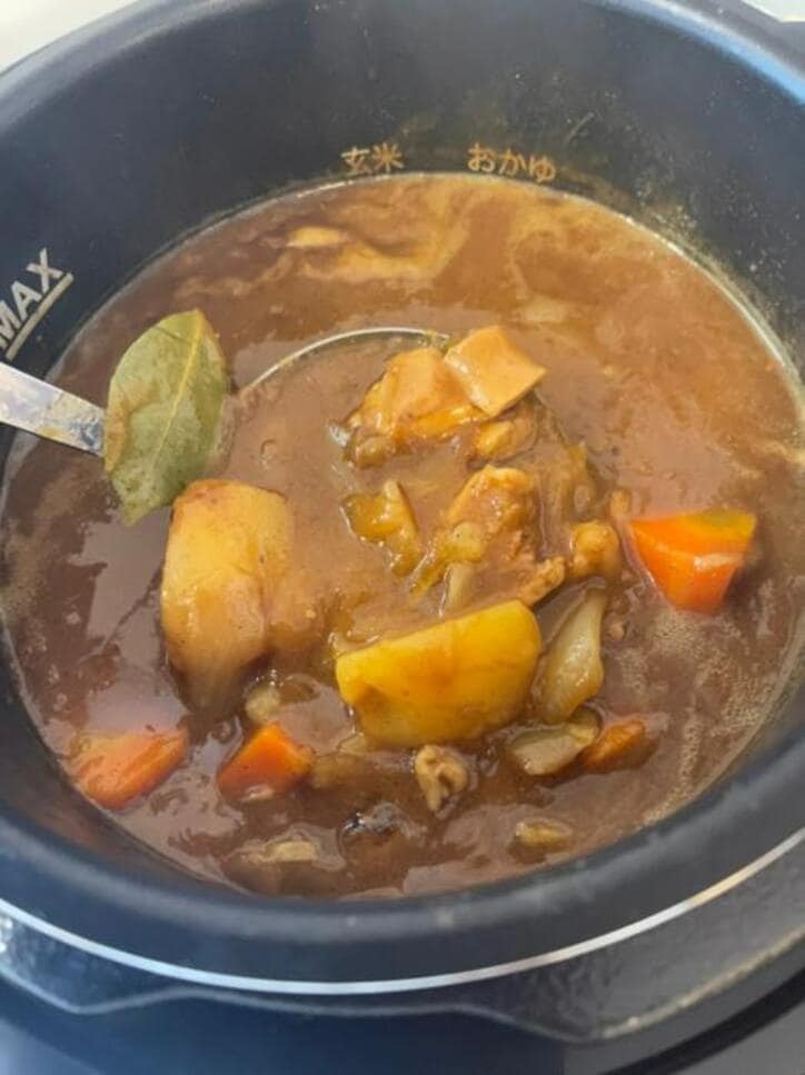  高橋真麻、電気圧力鍋で作ったカレーを公開「危なくないし怖くない」 