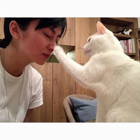 柴咲コウの猫と見つめあう“ふれあいショット”にファン絶賛 「とても